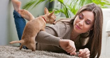 Dog humping a woman's arm