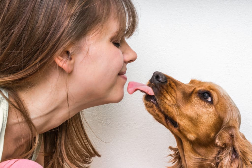 A dog licks her owner.