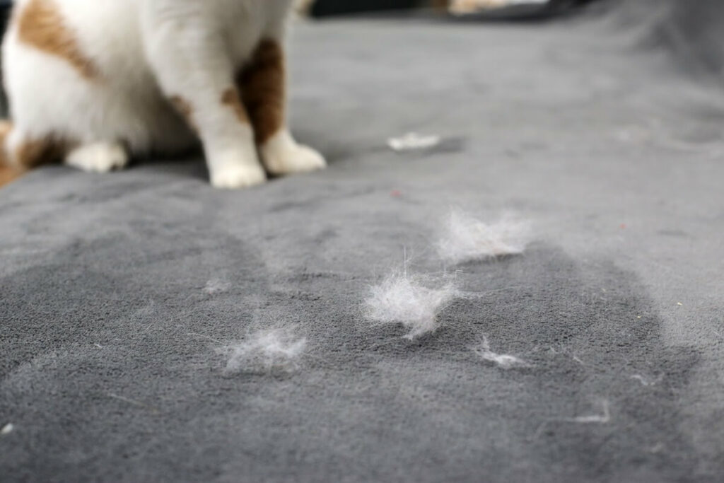 Parents of four-legged friends can struggle with the constant dog hair on furniture, floors, and other surfaces. Read here for tips on how to manage pet hair in your home.