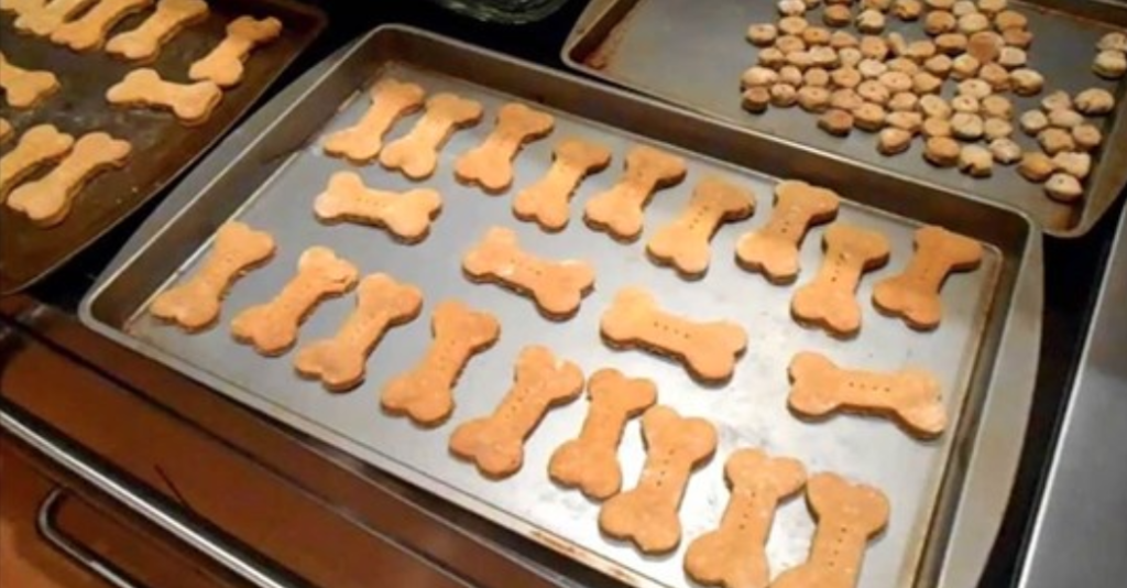 Pumpkin doggie treats are ready to be baked in the oven.