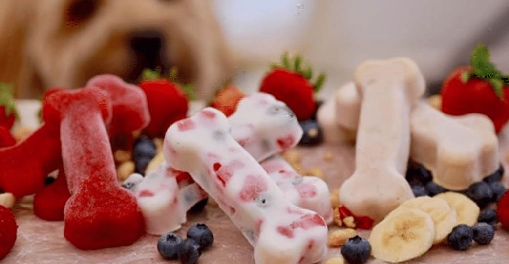 Frozen treats that are dog-tested and ingredient friendly