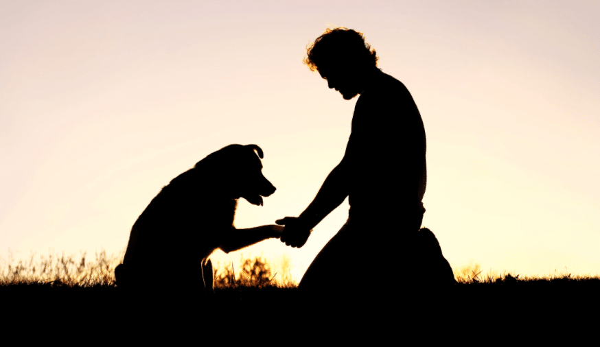 A dog and her owner share a bonding moment.