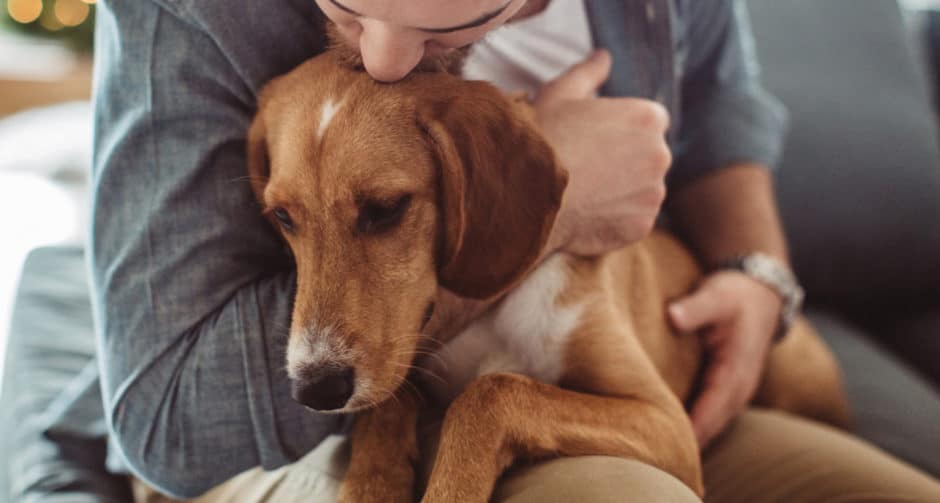 A dog going through cancer snuggles with his owner