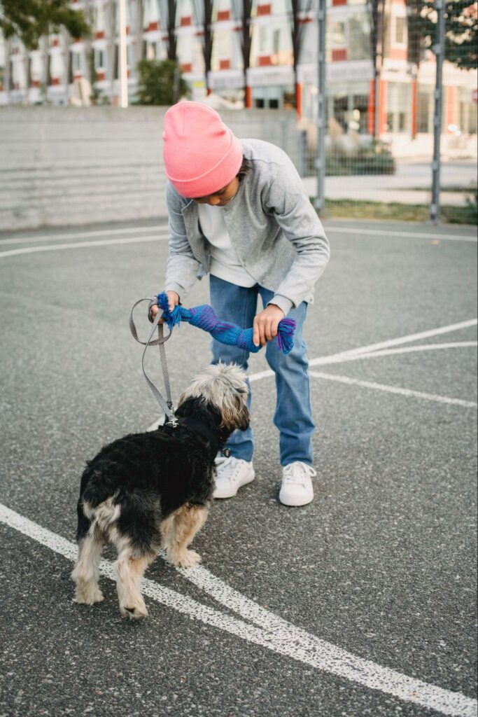 A young boy plays at the park with his dog after a nice walk in the fall weather.