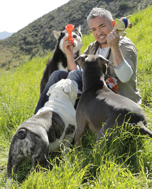 Cesar Milan with a bunch of dogs on a mountainside