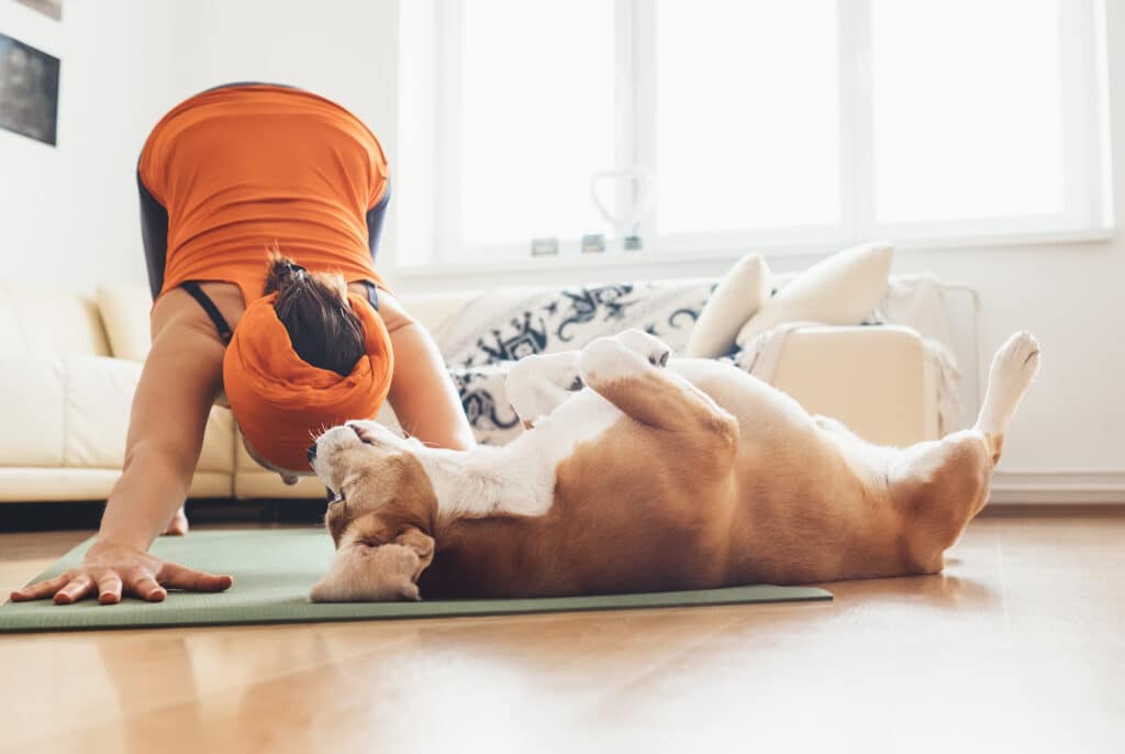 A woman exercises with her dog